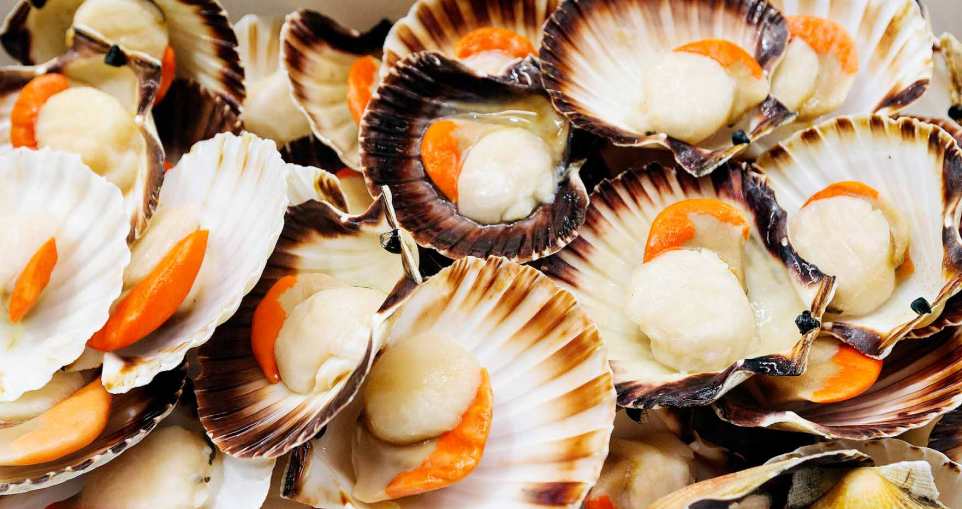 Il Pesce a Milano 2026 - una guida che racconta una filiera di qualità