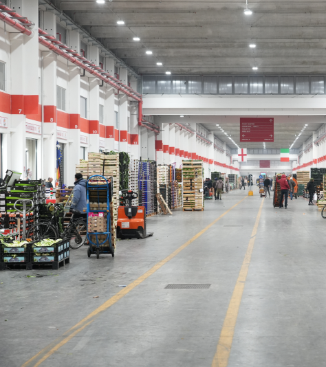 Operatori e bancali di frutta e verdura all’interno di un padiglione del Comprensorio