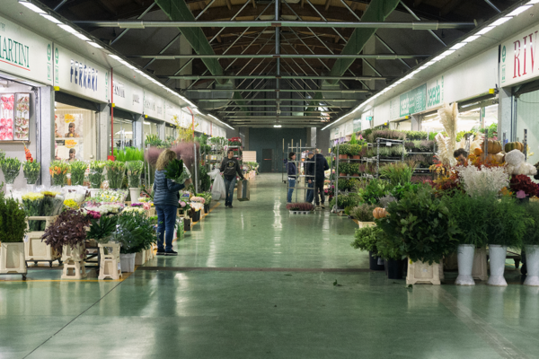 Interno del mercato dei fiori del comprensorio Foody, con bancarelle di piante e fiori lungo i corridoi.