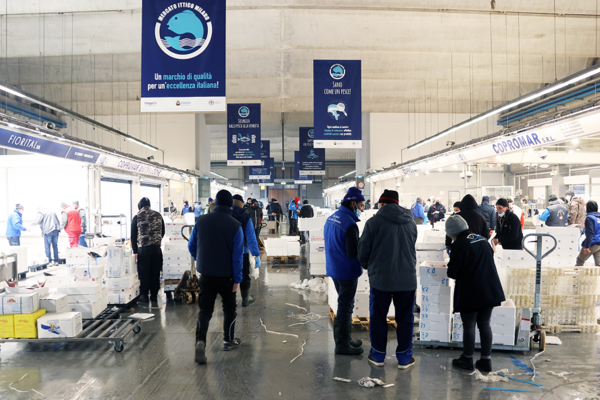 Operatori al lavoro tra banchi e cassette di pesce al Mercato Ittico di Milano