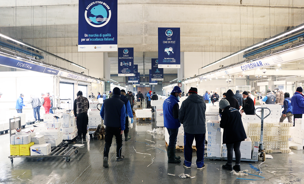 Operatori al lavoro tra banchi e cassette di pesce al Mercato Ittico di Milano