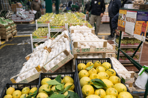 Bancali di limoni e funghi freschi esposti nel mercato ortofrutticolo di Milano