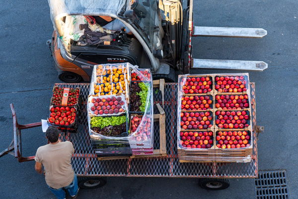 Carrello con cassette di frutta e verdura trasportato da un operatore nel mercato ortofrutticolo di Milano