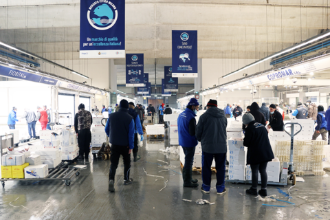 Operatori al lavoro all’interno del mercato ittico del Comprensorio