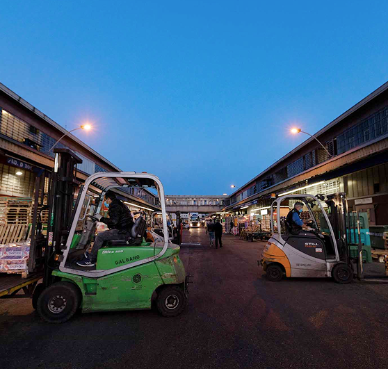 Carrelli elevatori in movimento tra i padiglioni del Comprensorio nelle prime ore del mattino