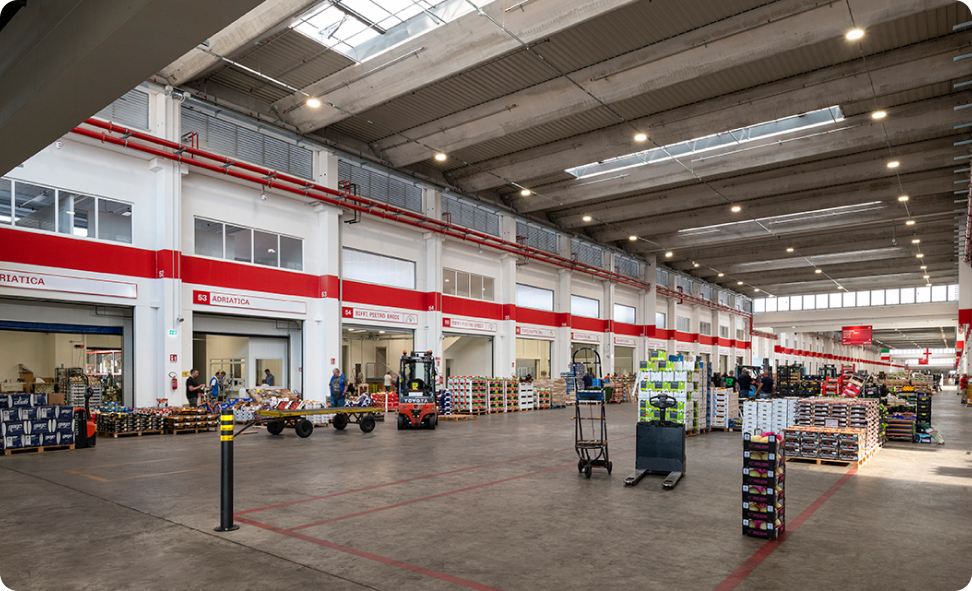 Bando per prima assegnazione in concessione del Punto di Vendita Orto2 n. 98 nel Mercato Alimentare di Milano