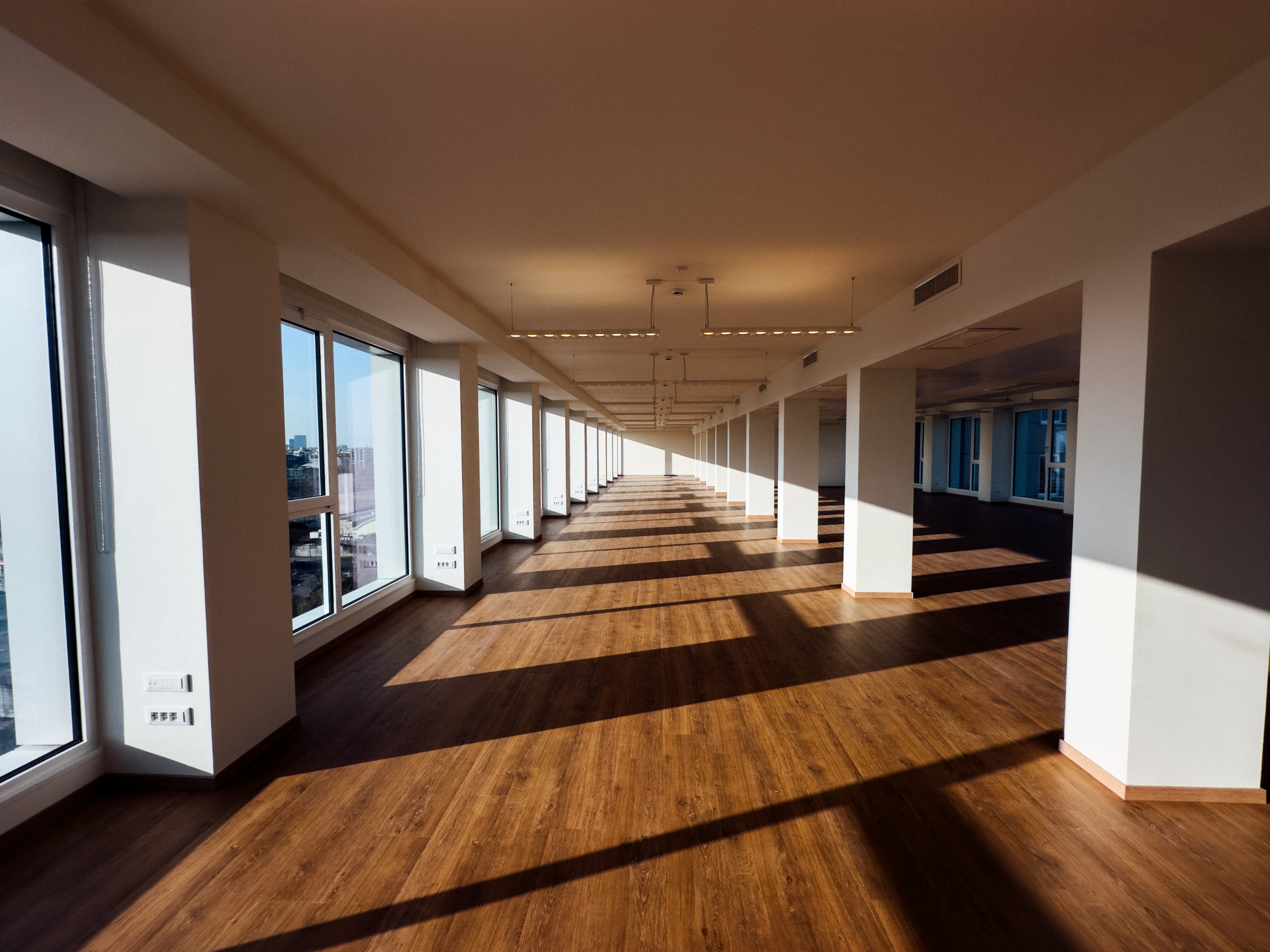 Immagine della galleria