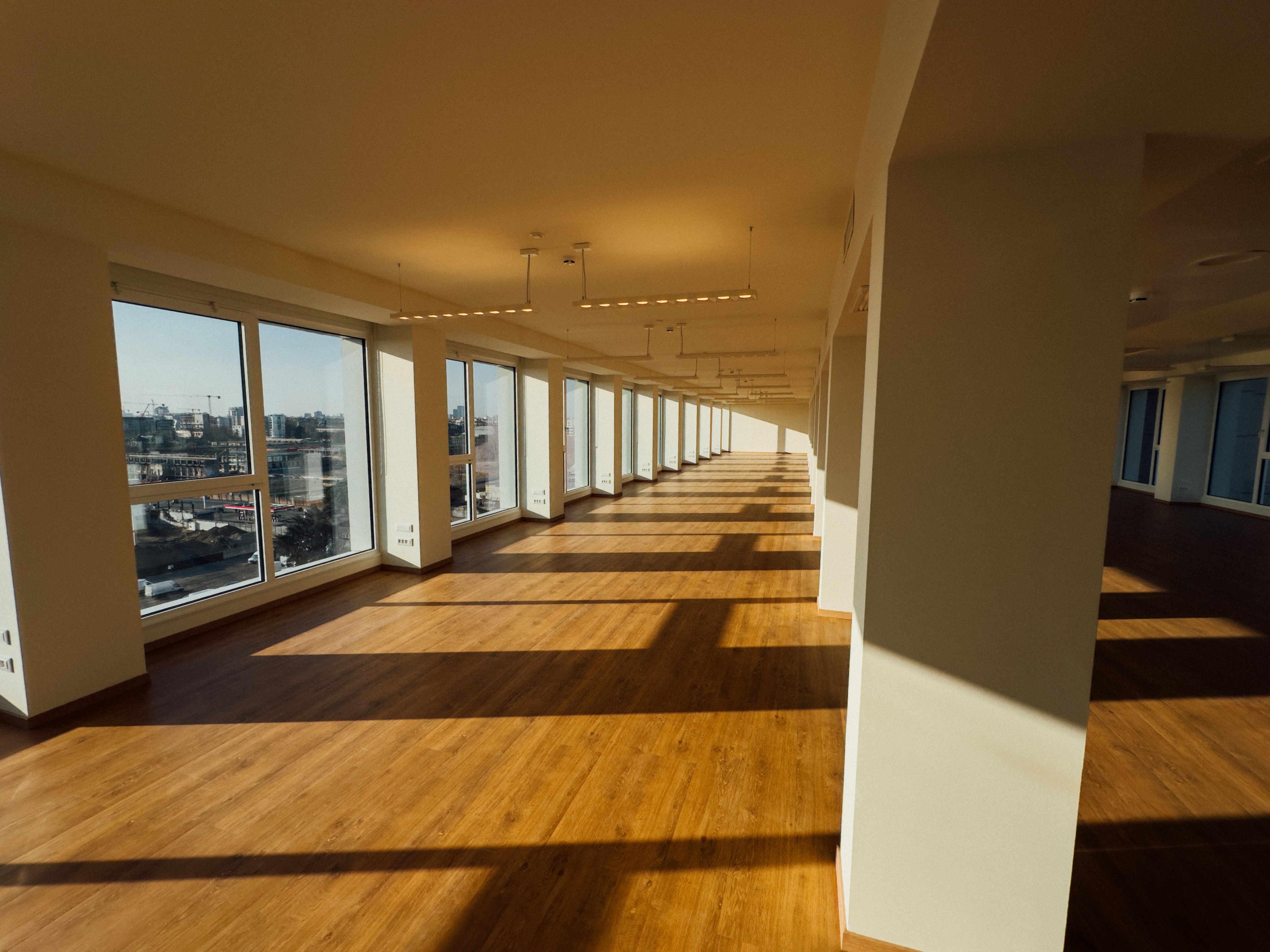 Immagine della galleria